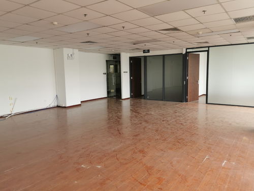 biotina cabelo_bolo da hora de aventura_borracheiro 24 horas recife