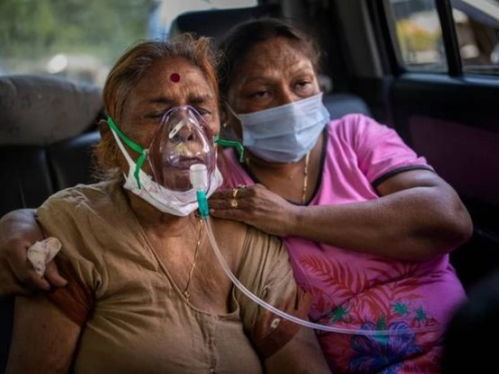 vários animais_www bet365.com_zumbi de jogo